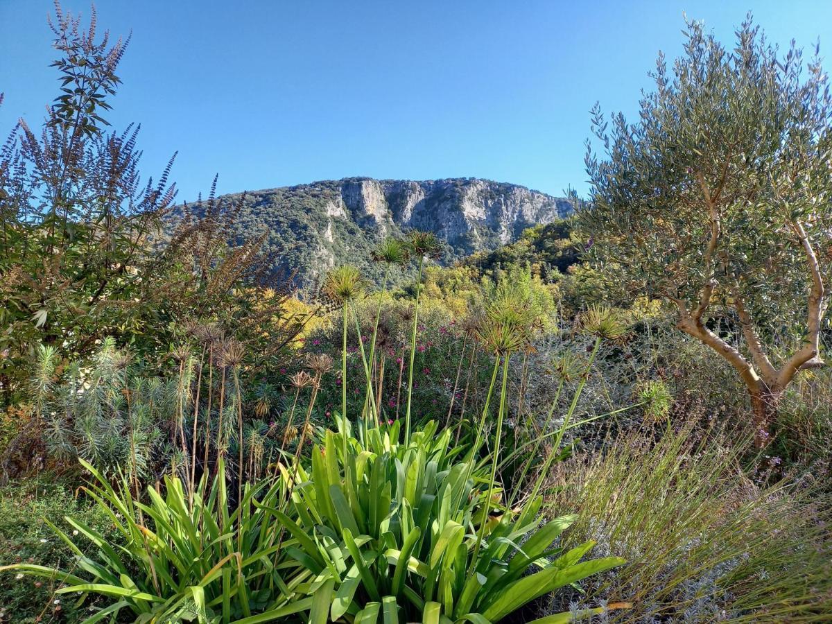Gite En Cevennes Du Sud, Bergerie Restauree Au Rez De Jardin D'Une Bastide Avec Piscine, Vue Exceptionnelle, Authenticite Et Confort Saint-Laurent-le-Minier エクステリア 写真