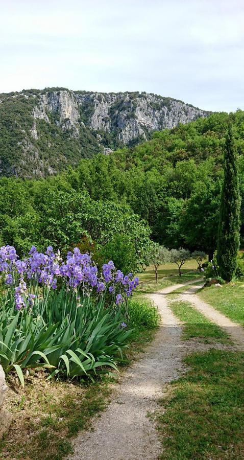 Gite En Cevennes Du Sud, Bergerie Restauree Au Rez De Jardin D'Une Bastide Avec Piscine, Vue Exceptionnelle, Authenticite Et Confort Saint-Laurent-le-Minier エクステリア 写真