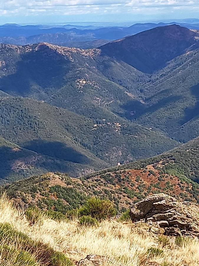 Gite En Cevennes Du Sud, Bergerie Restauree Au Rez De Jardin D'Une Bastide Avec Piscine, Vue Exceptionnelle, Authenticite Et Confort Saint-Laurent-le-Minier エクステリア 写真